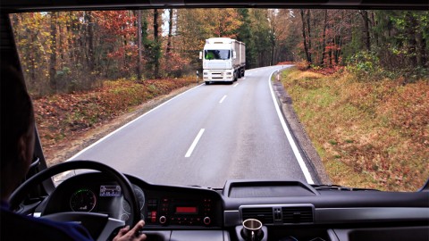 PELLET AUSTRIACO: MADE IN?