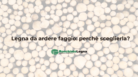 legna da ardere faggio_perchè sceglierla_ronchiatolegna