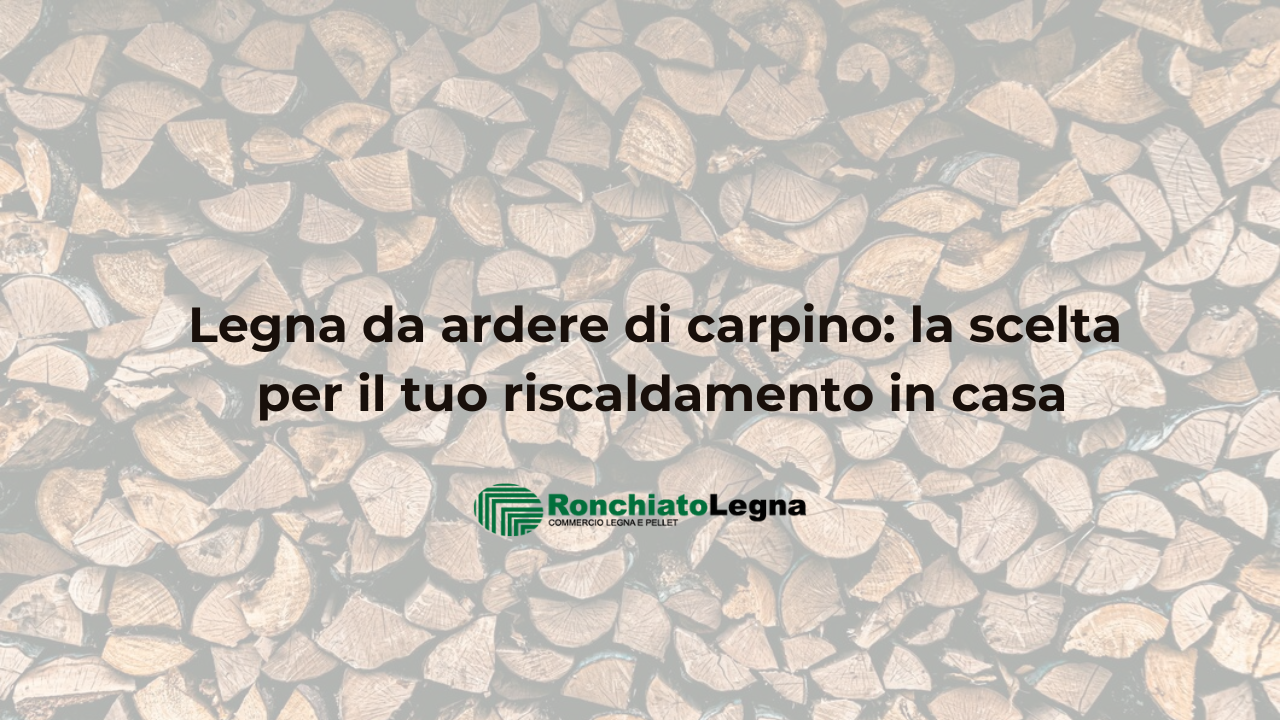 legna da ardere di carpino_riscaldamento_ronchiatolegna