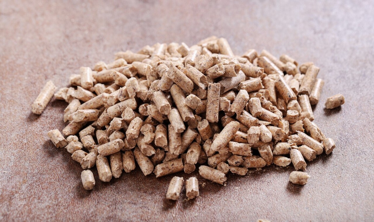 pellet-in-superficie_144627-33676