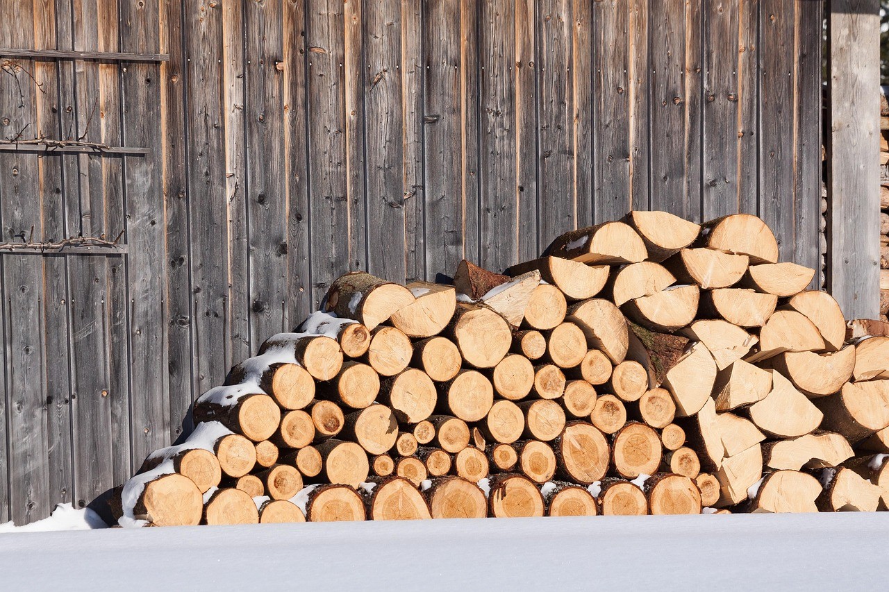 Come scegliere il tipo di legna da ardere: guida pratica per un calore efficiente e sostenibile