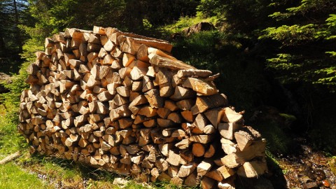 Benefici ambientali delle biomasse: perché scegliere legna o pellet certificati