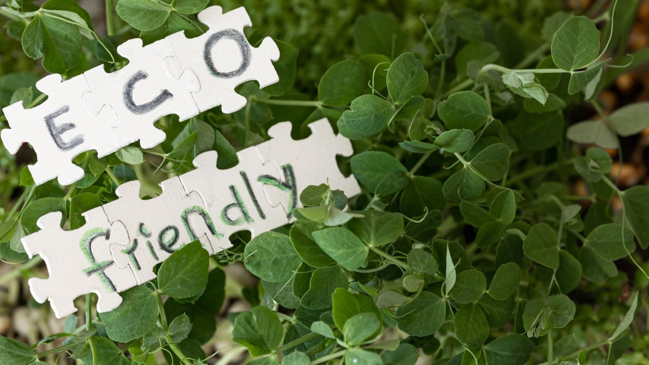 Biocombustibili e regole anti greenwashing - Ronchiato