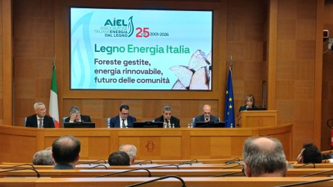 Il Futuro della Filiera Bosco-Legno-Energia: l'Evento AIEL in Parlamento e l'Impegno di Ronchiato Legna