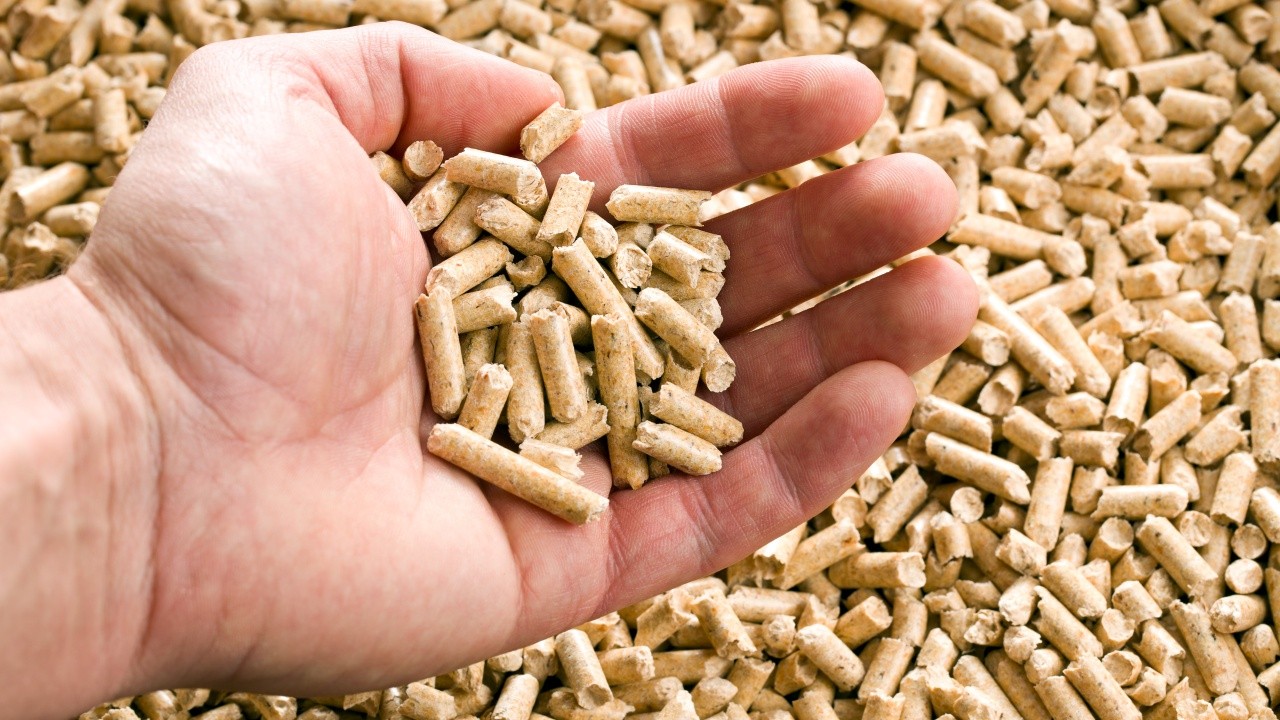 Le parole d'ordine del Pellet