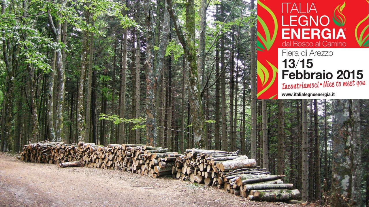 1° Fiera Italia Legno Energia