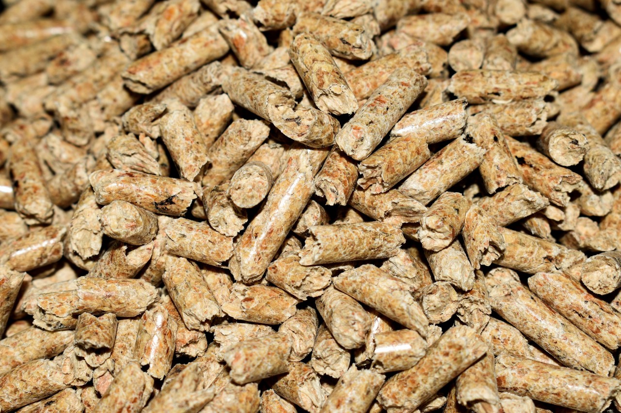 pellets-4844847_1920