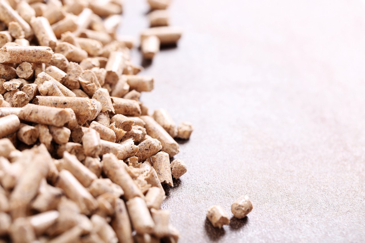 20220223-083403pellets-on-surface
